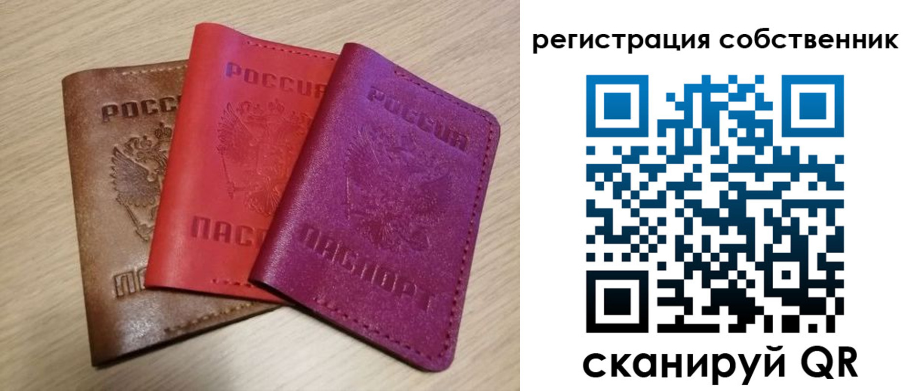 прописка для школы в Камышине